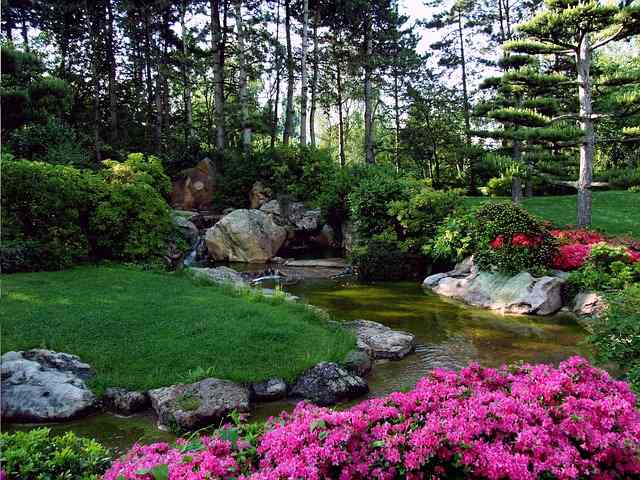Creencias de Japón 4 jardin japones