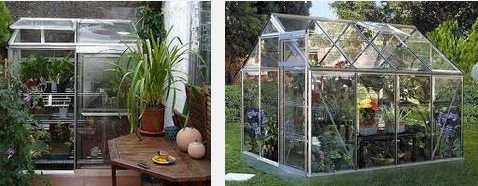 Plantas del Invernadero y Cuidados Especiales 2 Plantas del Invernadero y Cuidados Especiales 1