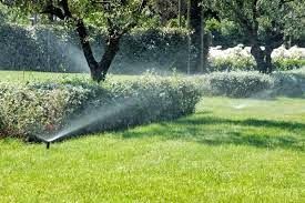 Riego de Plantas cuando te Vas de Vacaciones 5 Riego de Plantas cuando te Vas de Vacaciones 3