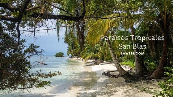 Los Mejores Paraísos Tropicales del Mundo 5 paraísos tropicales