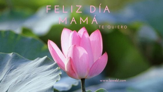 Día de la Madre: Imágenes y Mensajes 6 tarjeta dia de la madre