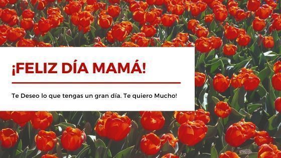Día de la Madre: Imágenes y Mensajes 5 Feliz día de las madres