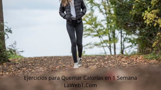 7 Tips para Perder Grasa Abdominal 5 Ejercicios para Quemar Calorías en 1 Semana