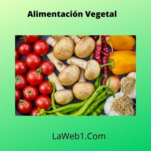 Guía para alimentarse con vegetales 2 Alimentación vegetal