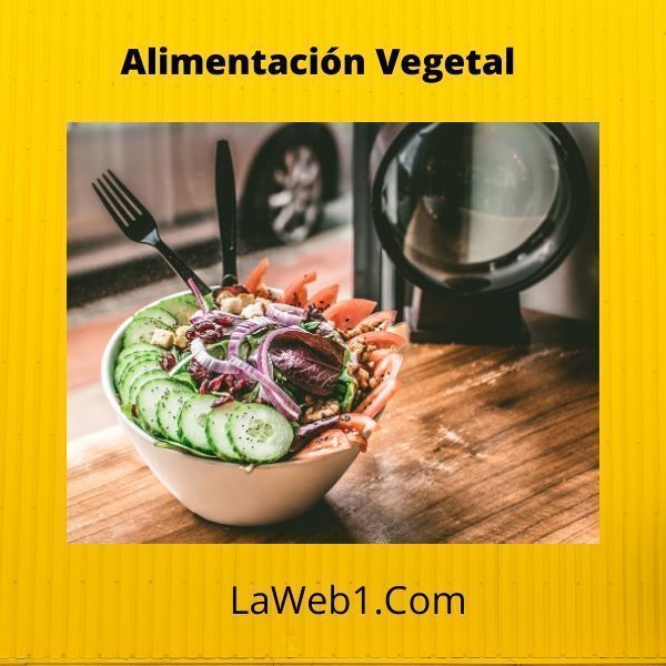 Guía para alimentarse con vegetales 3 Alimentación vegetal