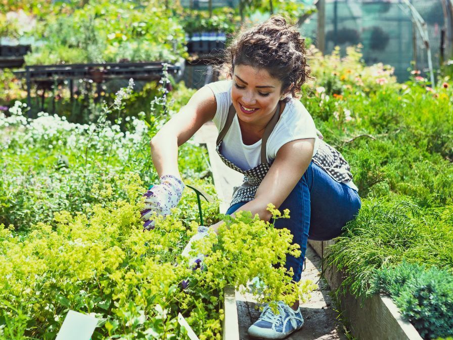 Consejos para Jardineros 2 Cursos de Jardinería